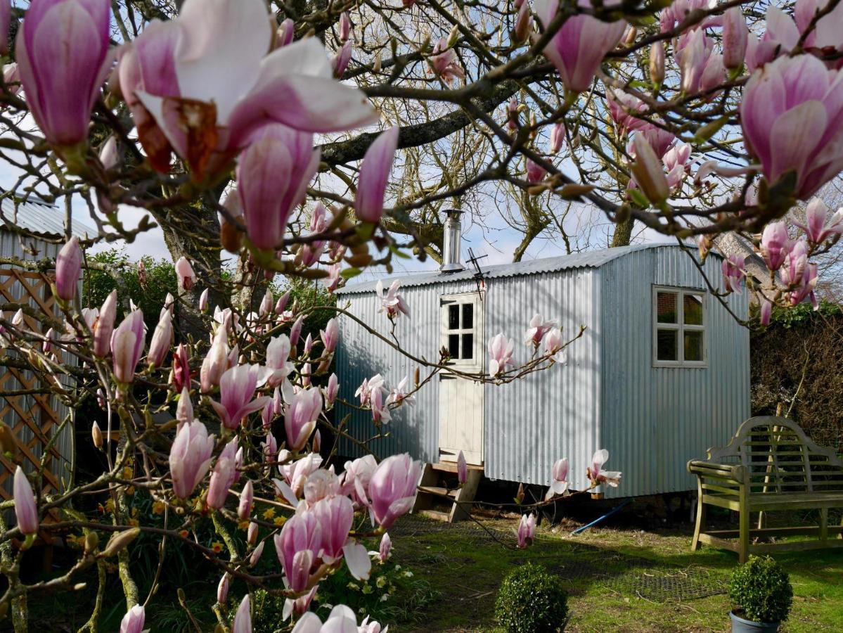The Wayside Shepherd Hut Beaulieu Kültér fotó
