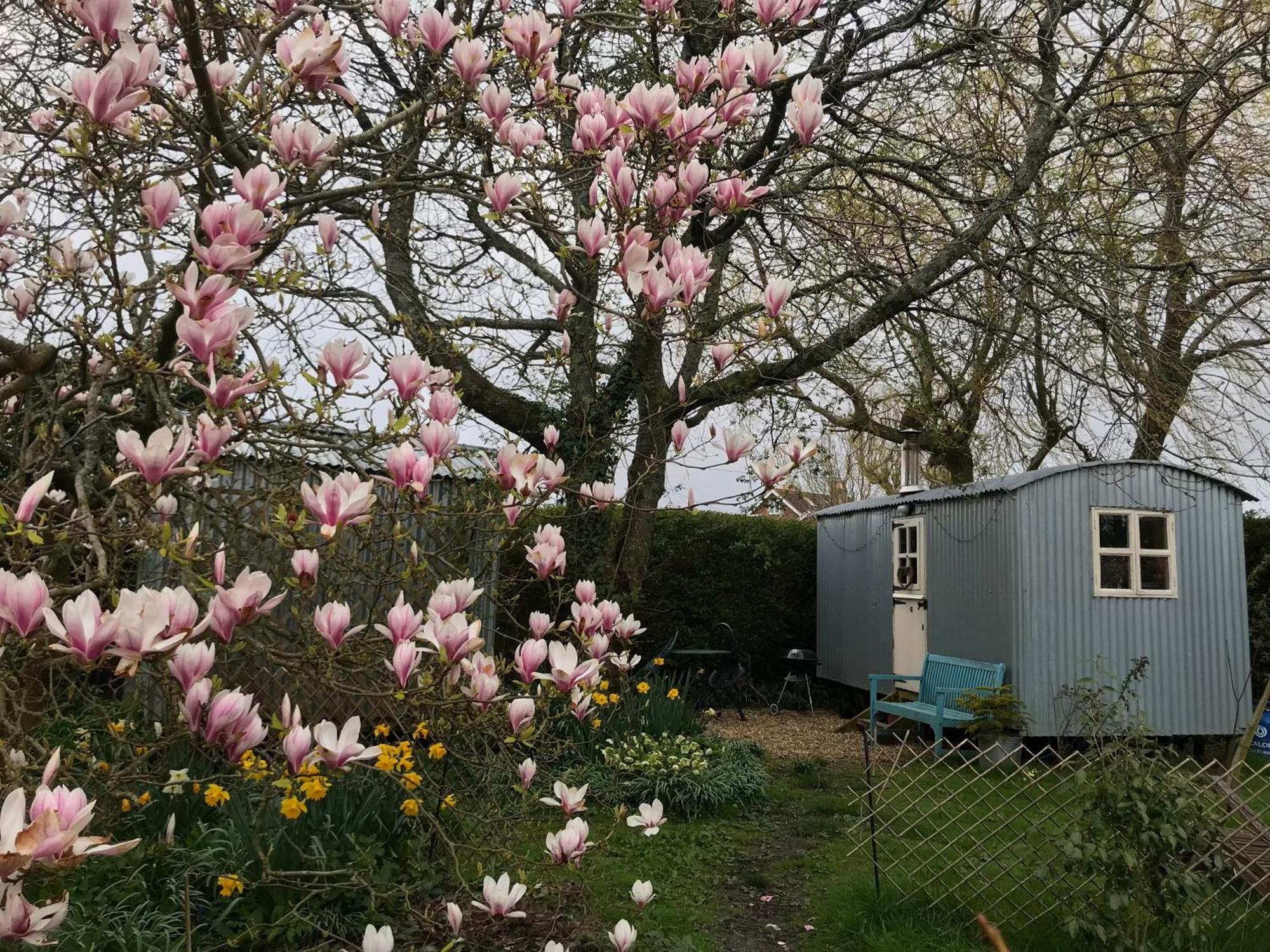 The Wayside Shepherd Hut Beaulieu Kültér fotó